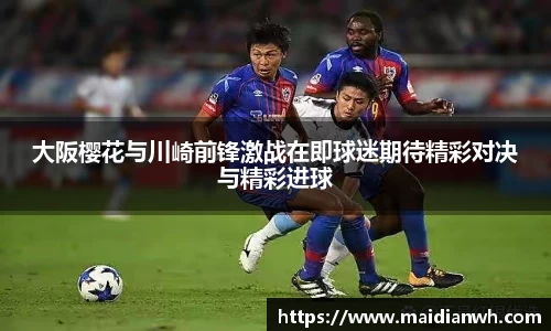 星空XK体育